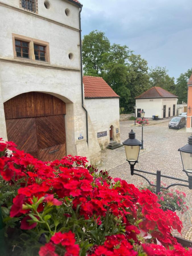 Pension Alt Naumburg Наумбург Экстерьер фото